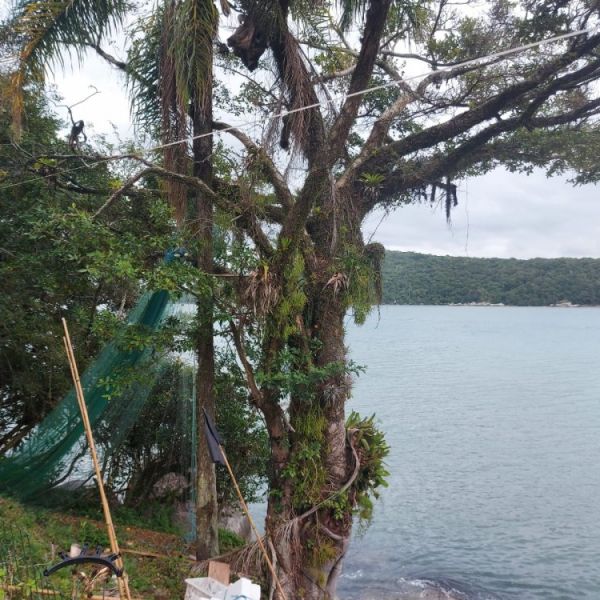 TERRENO FRENTE MAR EM ARAA PORTO BELO 